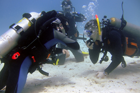 Underwater Filming Dive Support.
